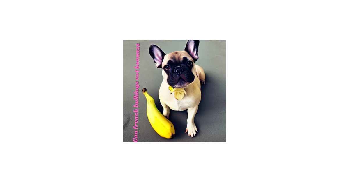 can french bulldogs eat bananas